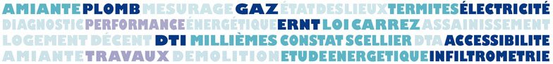 Amiante Plomb termites gaz Electricite...